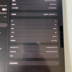 iPadPro11インチ M5 256GB WiFiモデル 中古の画像