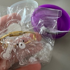 うちの子のけだまだま（犬のけだまだま）の画像