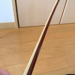 カルロ・ジョルダーノ バイオリン セット VS-1   1/10の画像