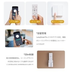 シーリングライト(リモコン電池入り)の画像