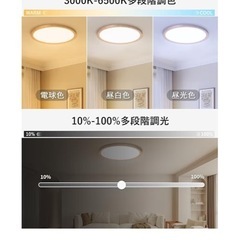 シーリングライト(リモコン電池入り)の画像