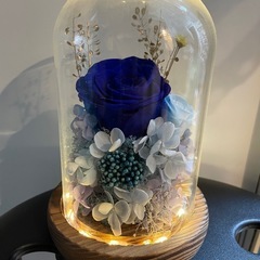 青いバラの画像