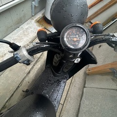 ホンダ トゥデイの画像