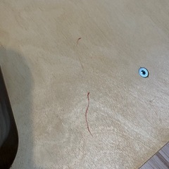 木製パーテーション
の画像