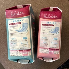 ちょこっと吸水ナプキンの画像