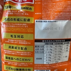 エサ 猫用の画像