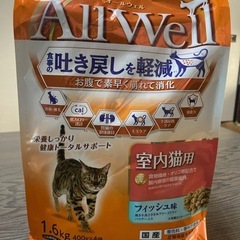 エサ 猫用の画像