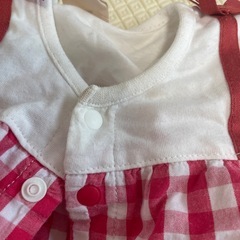 プティマインの画像