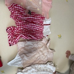 プティマインの画像