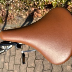 キャプテンスッタグの画像