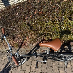 キャプテンスッタグの画像