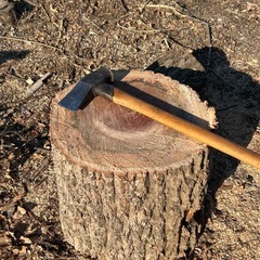 薪割り台　ナラ、カシの木　直径40cm 丸太 の画像