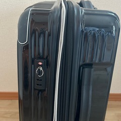 キャリーバッグの画像