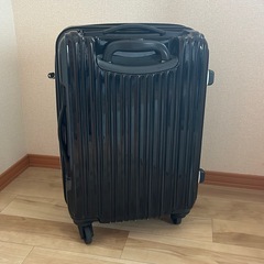 キャリーバッグの画像