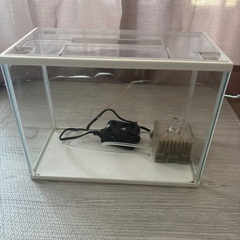 水槽エアポンプ付きの画像