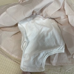 プティマインの画像