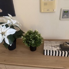 IKEA 造花 フェイクグリーン2つセットの画像