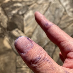 コールマン　アウトドアチェア　リゾートチェア　折り畳み椅子の画像