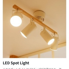 lowya スポットライト
の画像