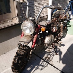 Z50J  モンキーの画像