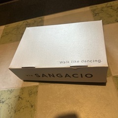 にゅSG『Basquiat』新品未使用の画像