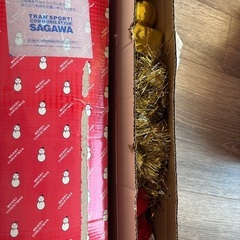 クリスマスツリーの画像