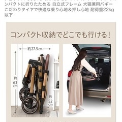 ジェックス OSOTO GRACE QC キャメル ワンタッチ　コンパクトの画像