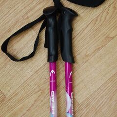 110cm ストック スキーポール HEAD ホワイト×パープル スキー用品 札幌市 清田区 平岡の画像