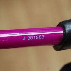 110cm ストック スキーポール HEAD ホワイト×パープル スキー用品 札幌市 清田区 平岡の画像