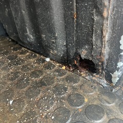 ジャンボ
の画像