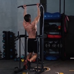 Samtoth 懸垂の画像