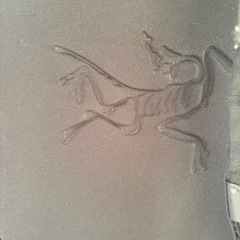 アークテリクス　アロー22
の画像