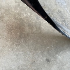 ファイナルコネクションカナードの画像