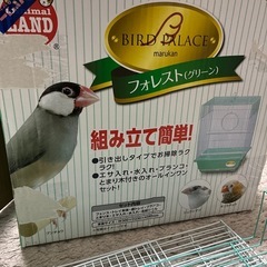 鳥かご ケージの画像