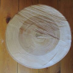 丸太・欅(ケヤキ) の広葉樹の画像