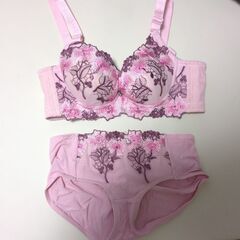 ラディアンヌ　未使用、新品　A70 ブラショーツセットの画像