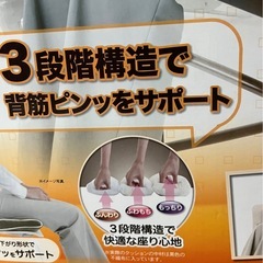 未使用品あったか姿勢クッションの画像
