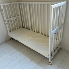 そいねーる➕ろんぐの画像