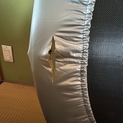 トランポリンの画像