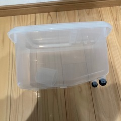 米びつ5キロ用兼フードストッカーの画像