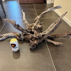 アクアリウム 流木の画像