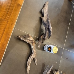 アクアリウム 流木の画像