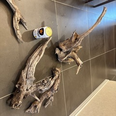 アクアリウム 流木の画像
