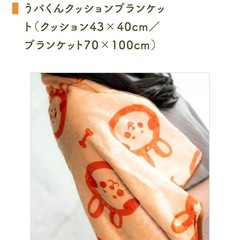 クッション&ブランケットの画像