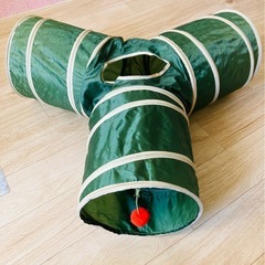 （お話し中）キャット🐈‍⬛トンネルの画像