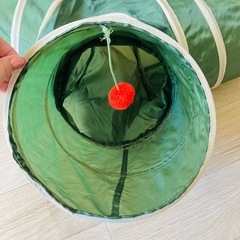 （お話し中）キャット🐈‍⬛トンネルの画像