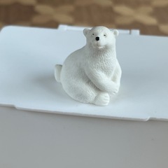 プラケースの画像