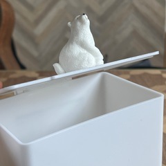 プラケースの画像