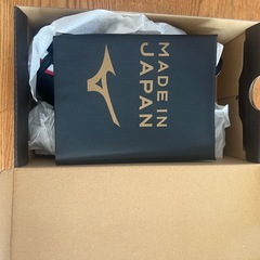 モレリア　サッカースパイク
の画像