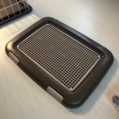 犬猫用トイレ
の画像